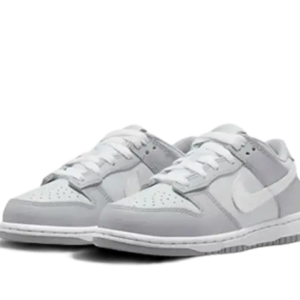 Nike Sb Dunk low