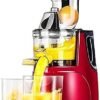 Extracteur de jus, extracteur de jus à Mastication Lente pour Fruits et légumes, Moteur Silencieux