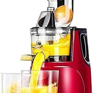 Extracteur de jus, extracteur de jus à Mastication Lente pour Fruits et légumes, Moteur Silencieux